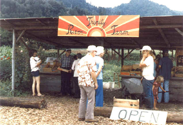 Stand in 1982