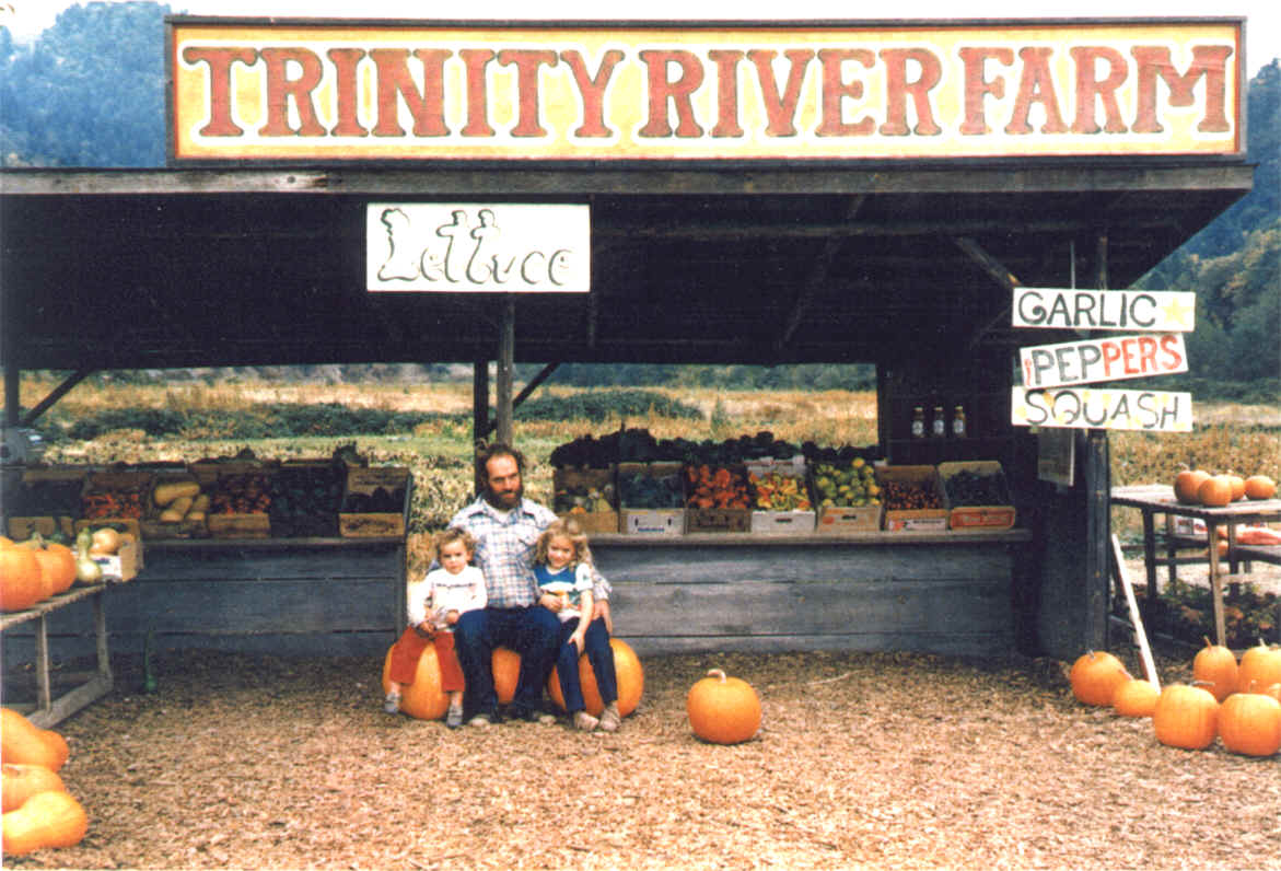 Stand in 1986