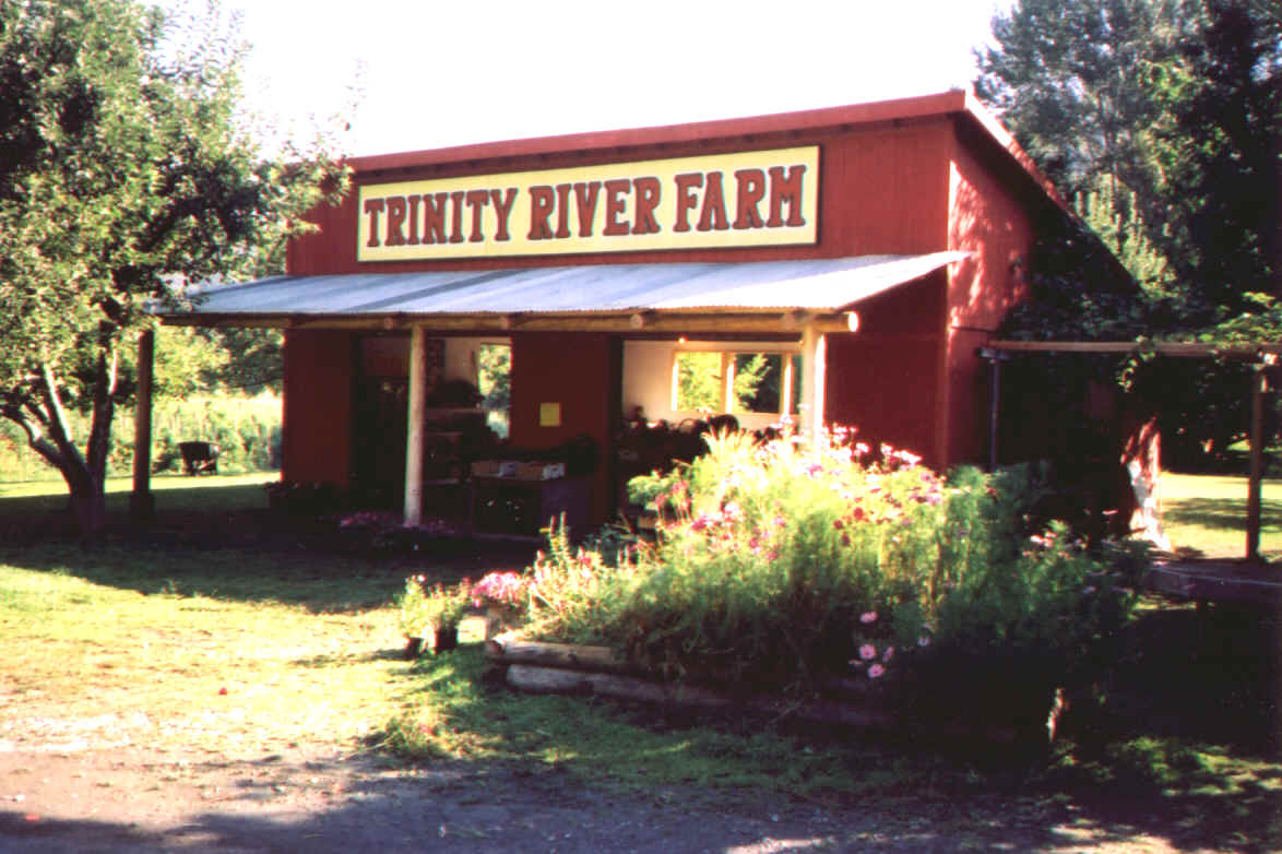 Stand in 2001