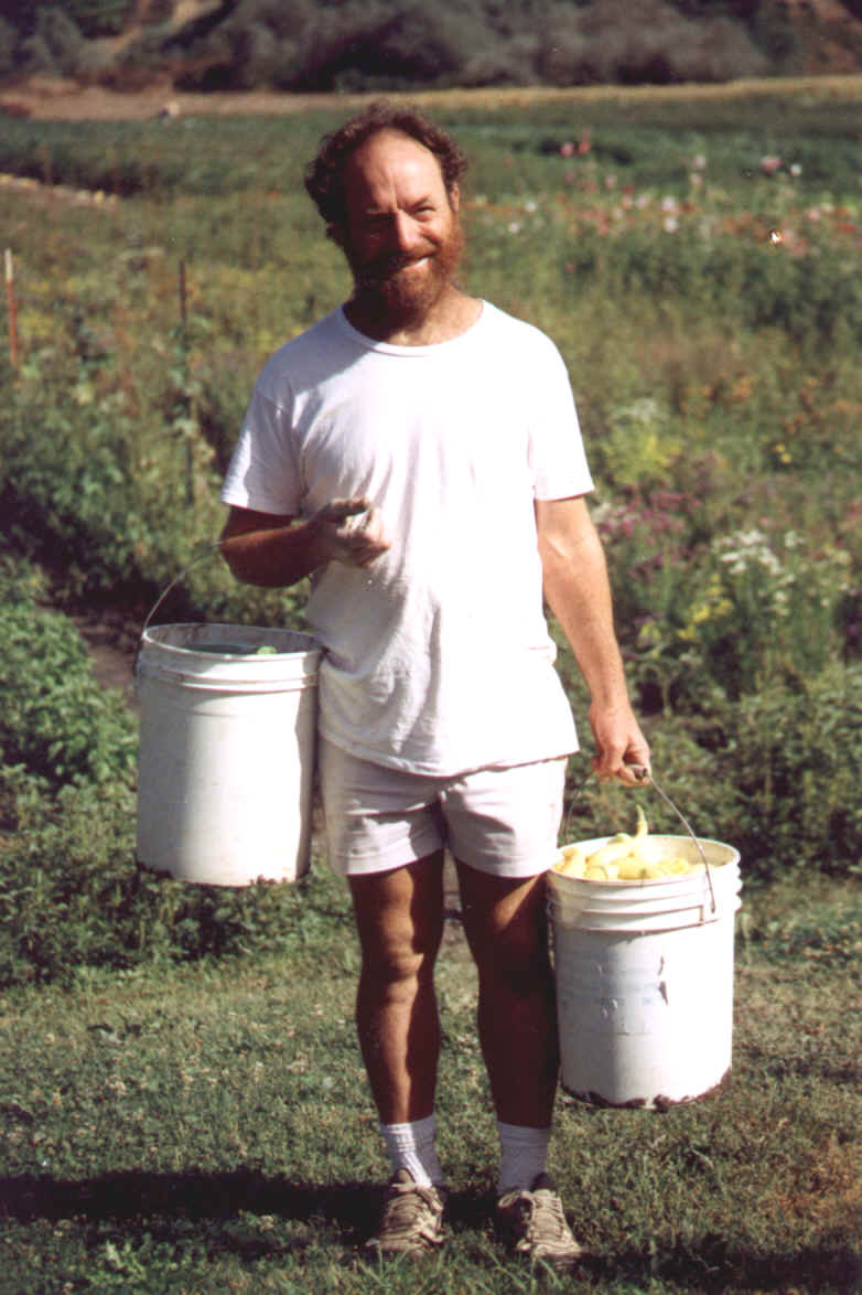 Tom O'Gorman
