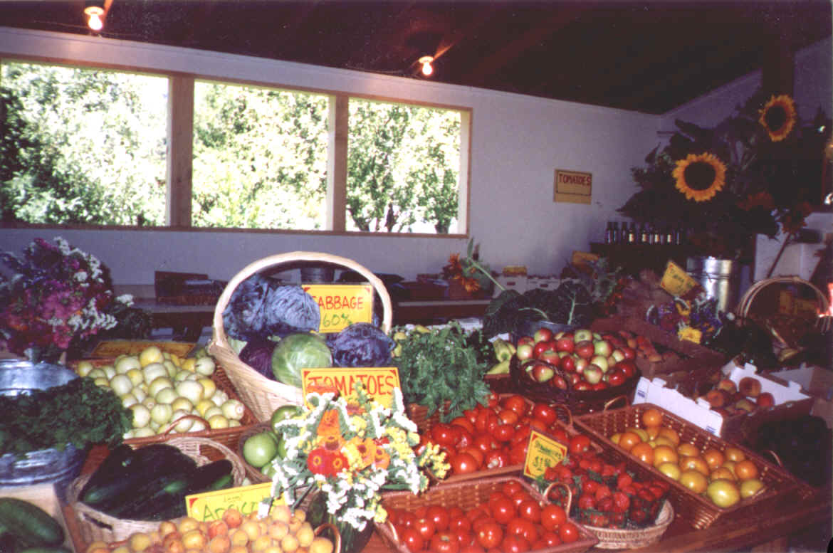 Display 1